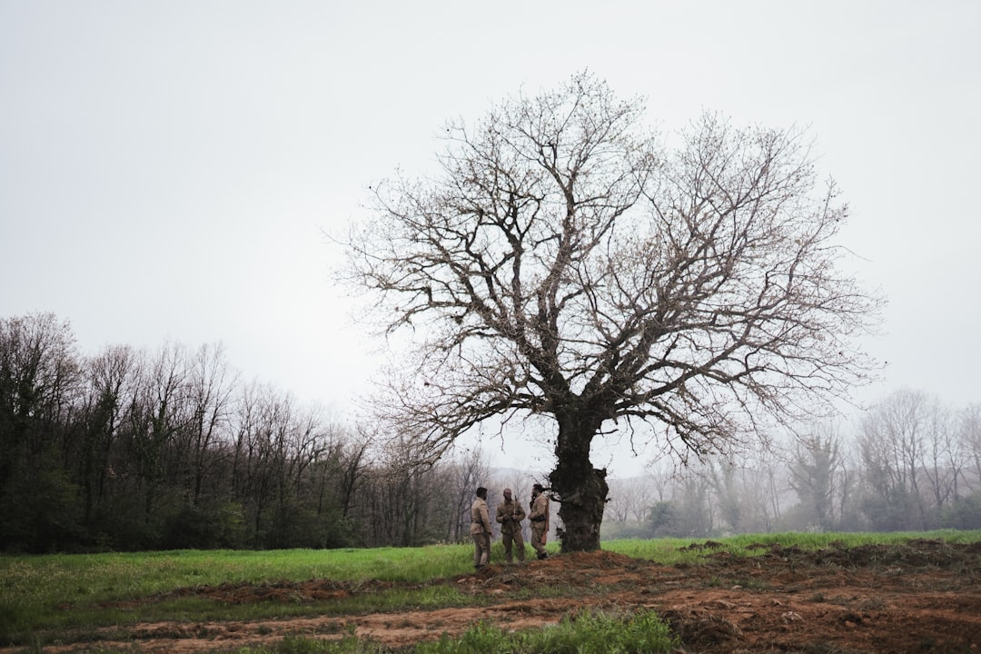 Australia Secures 11 Advanced Mogami Frigates; Boosts Naval Might