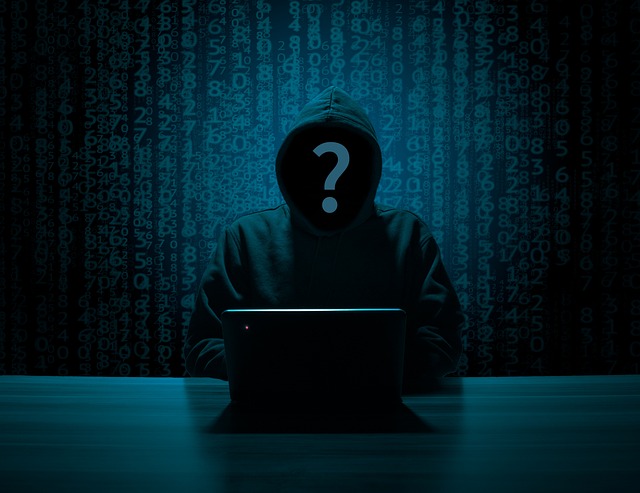 Global Sting Dismantles First VPN: Major Cybercrime Anonymizer Falls